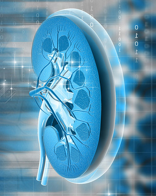 Santhi Homoeo Perinthalmanna