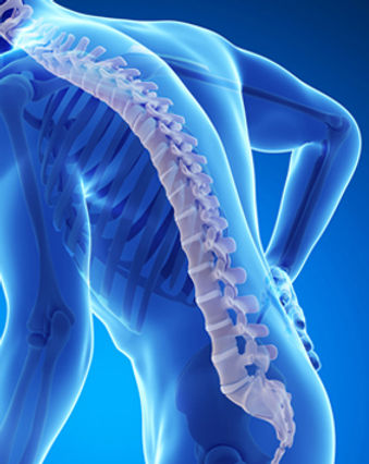 Santhi Homoeo Perinthalmanna