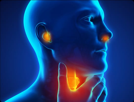 Santhi Homoeo Perinthalmanna